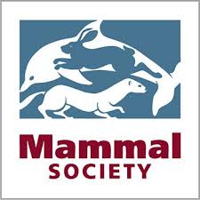 Mammal Society logo, a blue hare jumps across a porpoise over a weasel